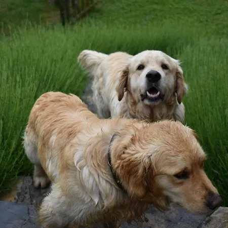 Cascina Belvedi Clanezzo